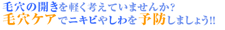 ビーグレンの毛穴について